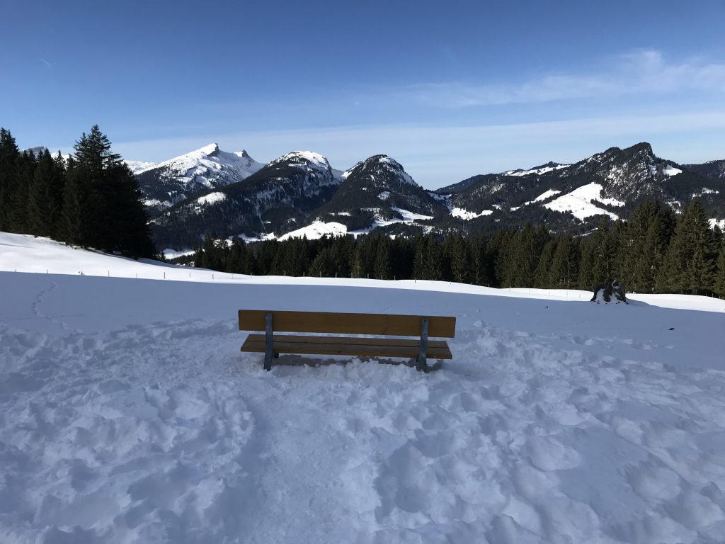 Zunächst ist es schattig.