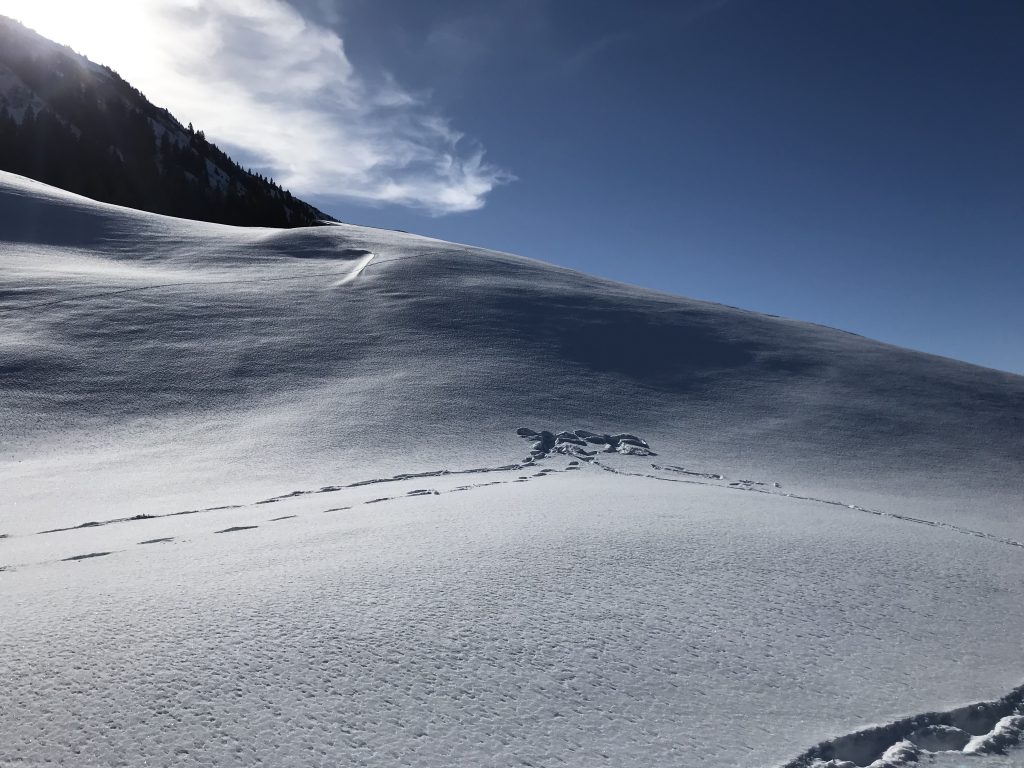 Nachher: SCHNEEENGEL ❄