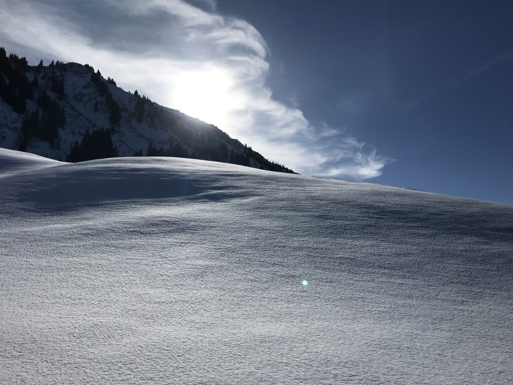 Vorher: Unberührte Winterlandschaft! ❄