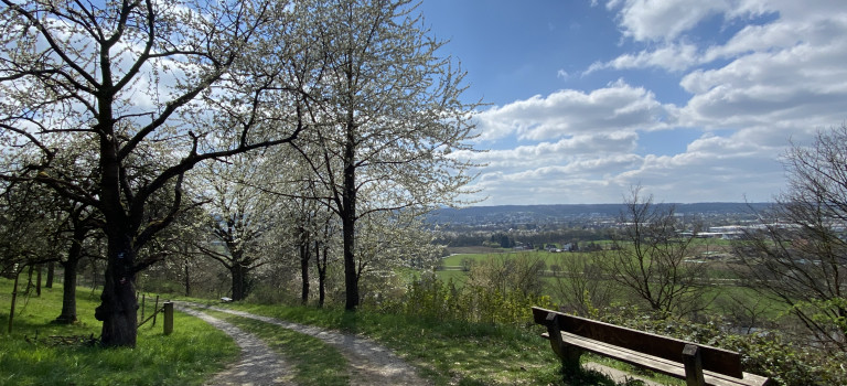 Natursteig Sieg – Etappe 1 Natursteig Sieg – Etappe 1