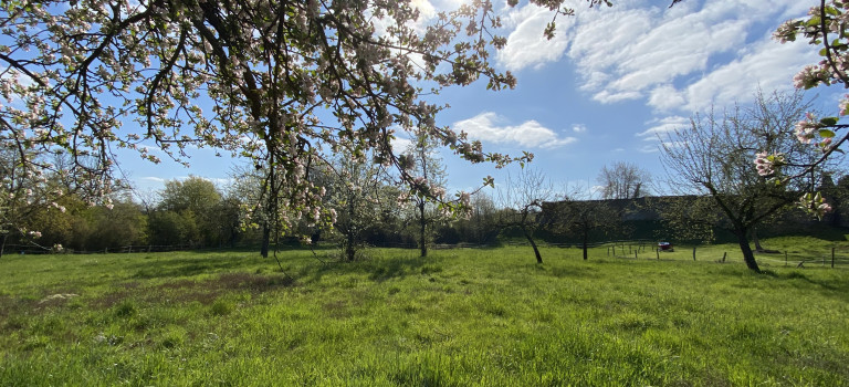 Natursteig Sieg – Etappe 3 Natursteig Sieg – Etappe 3