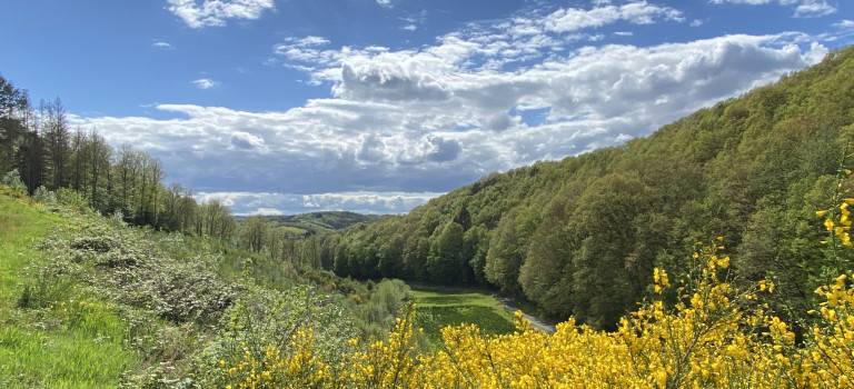 Natursteig Sieg – Etappe 8 Natursteig Sieg – Etappe 8