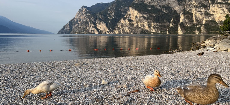 Bella Italia 2022 – Tag 15 Bergpanorama, Entenschnattern und