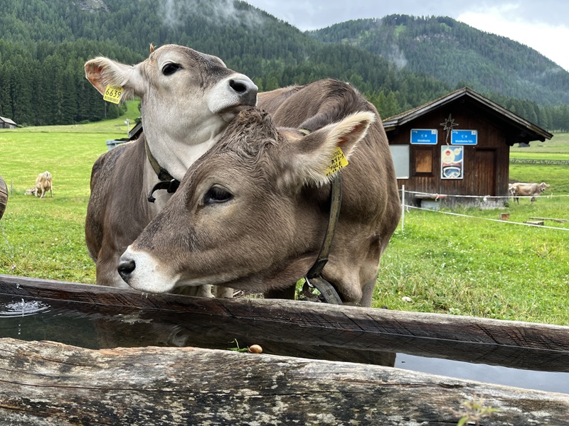 Jungfernfahrt-Malibu-Van (26)