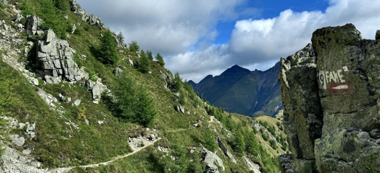 auf schmalen Pfaden weiter