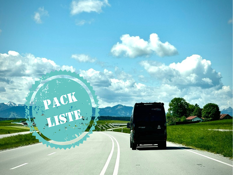 Wohnmobil Packliste, ein Camper fährt durch die Landschaft